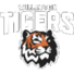 威利顿老虎logo